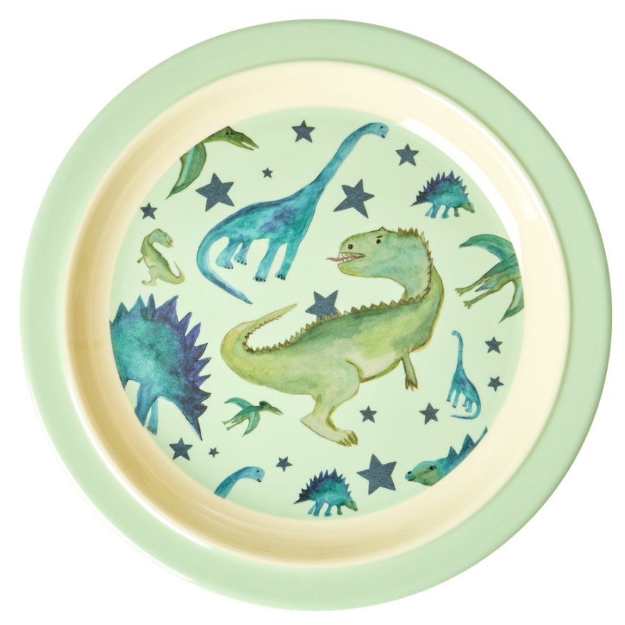 Dinosaur Print Kids Melamine Plate Rice DK